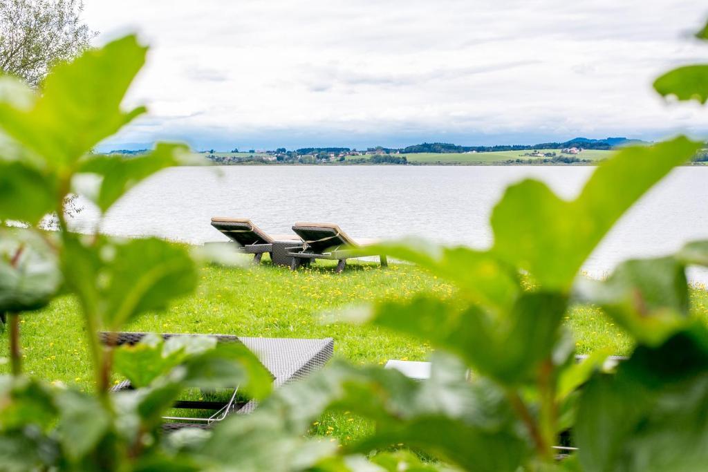 Hotel Seebrunn Am Wallersee ヘンドルフ・アム・ヴァラーゼー エクステリア 写真