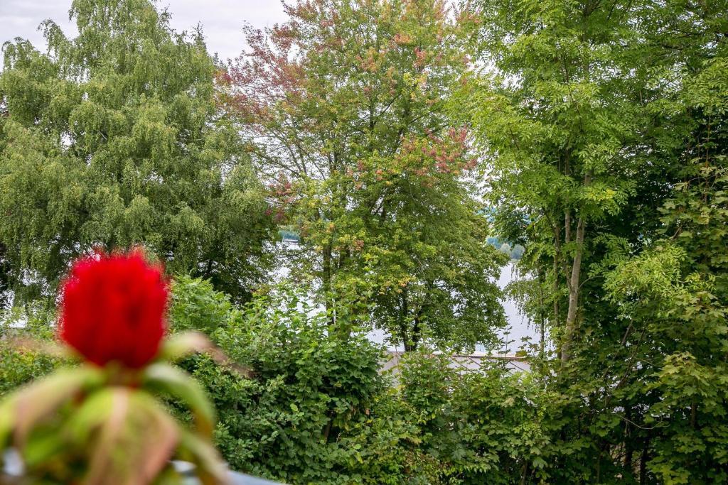 Hotel Seebrunn Am Wallersee ヘンドルフ・アム・ヴァラーゼー エクステリア 写真